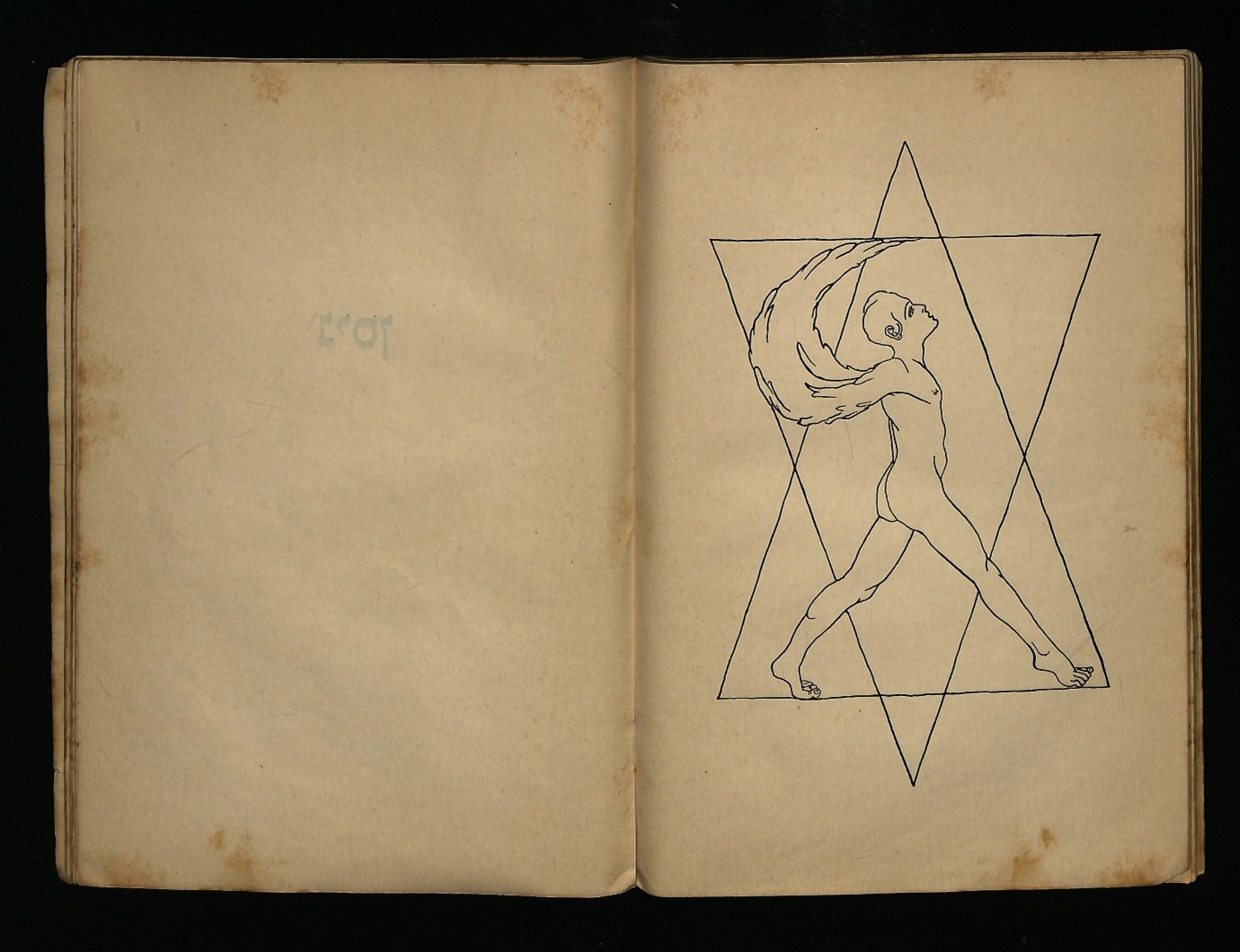 לשמוע את "התקווה" מתוך שוחות מלחמת העולם הראשונה – סיפורו של יומן